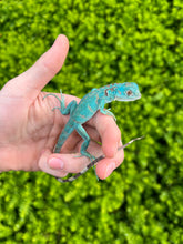 Load image into Gallery viewer, Baby Blue Iguana