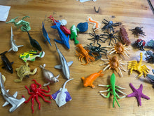 Load image into Gallery viewer, Assorted Reptile Toy (plastic)