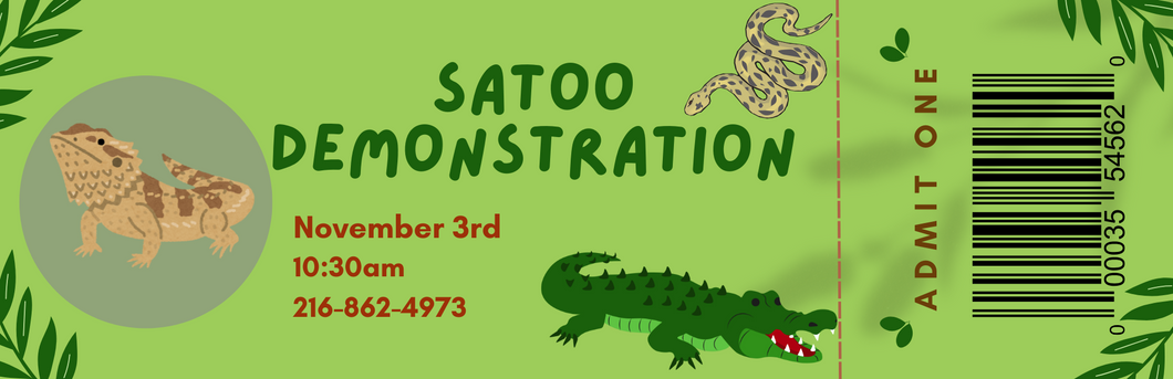 SATOO Demonstration