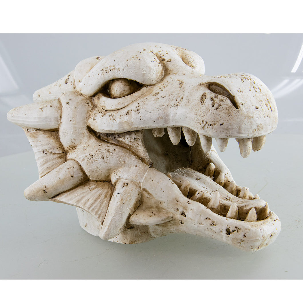 Underwater Treasures Dragon Skull