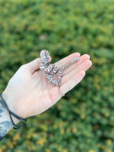 Load image into Gallery viewer, Baby Red Factor Corn Snake